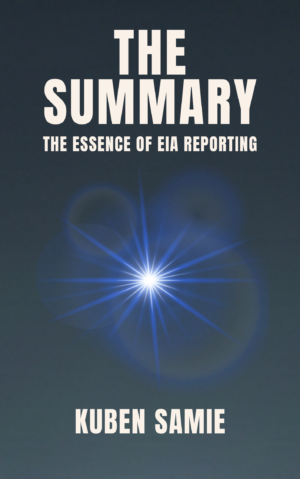 THE SUMMARY: The Essence of EIA Reporting (e-book)
